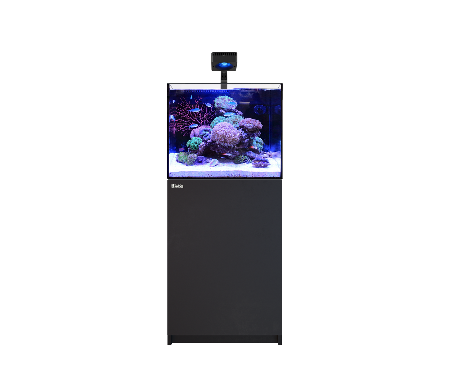 Red Sea Reefer G3