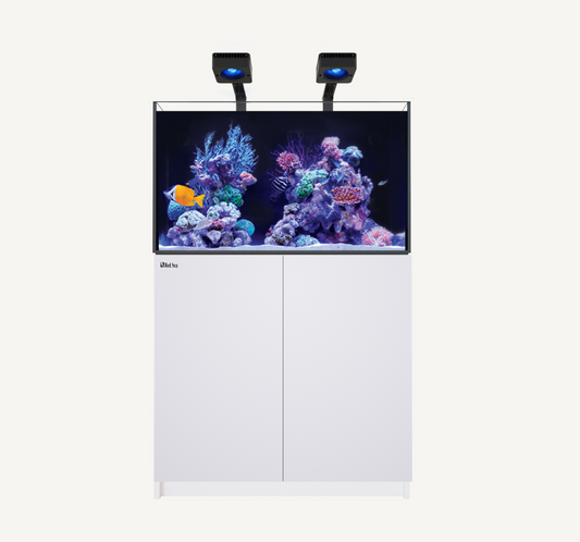 Build Your Own Aquarium (3 foot)