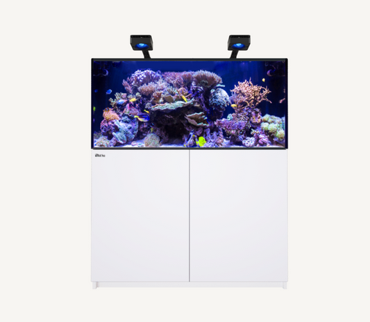 Build Your Own Aquarium (4 foot)