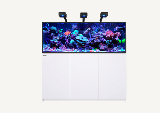 Build Your Own Aquarium (5 foot)