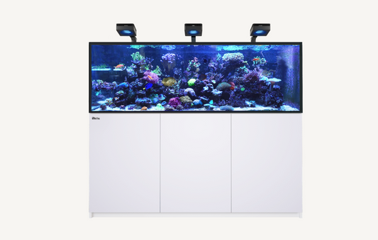Build Your Own Aquarium (6 foot+)