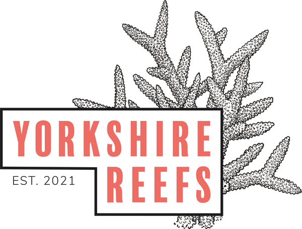 Yorkshire Reefs