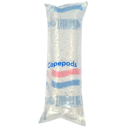Live Copepods - Pack of 4