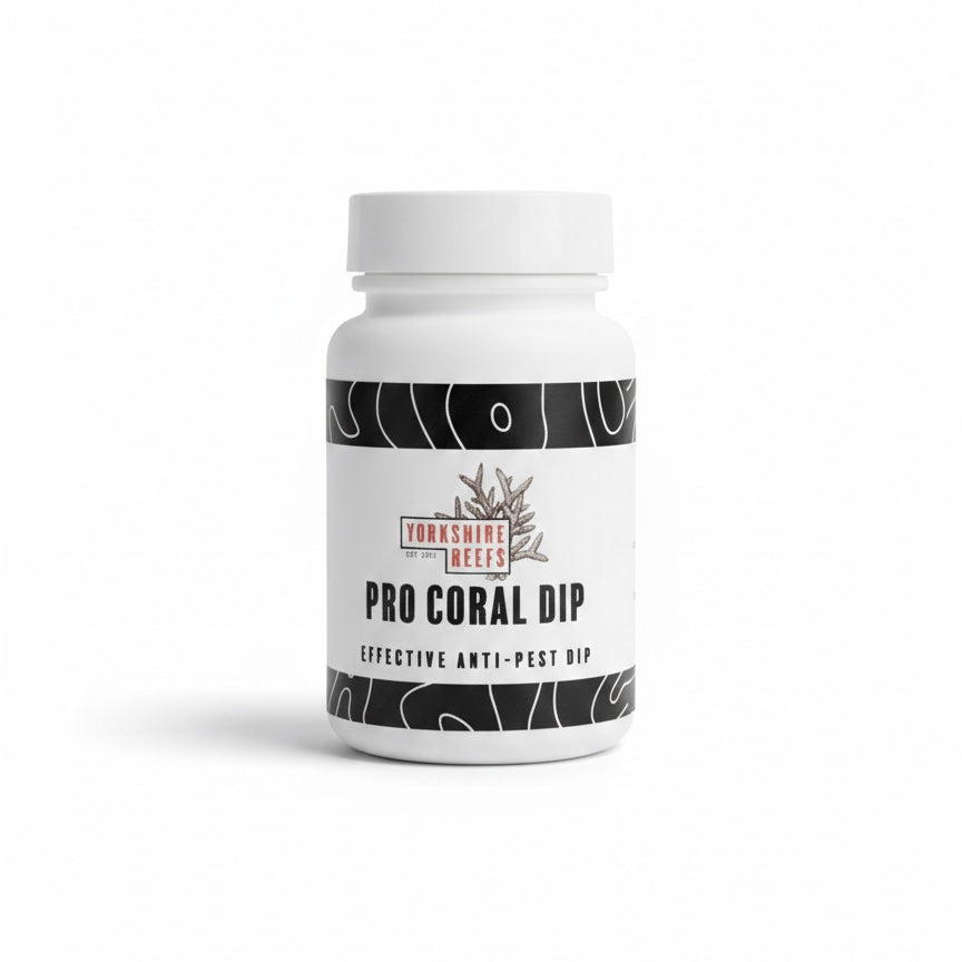 Yorkshire Reefs Pro Coral Dip 60g