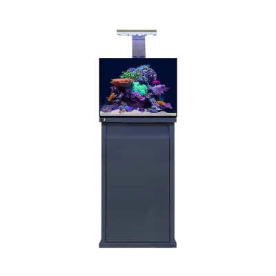 D-D Reef Pro
