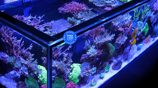 Red Sea Reefer G3