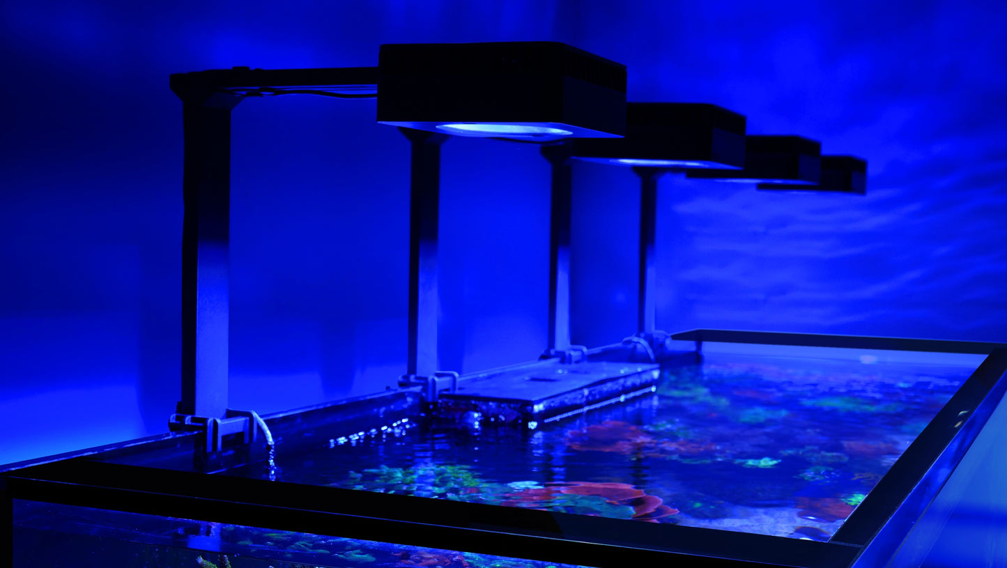 Red Sea Reefer G3