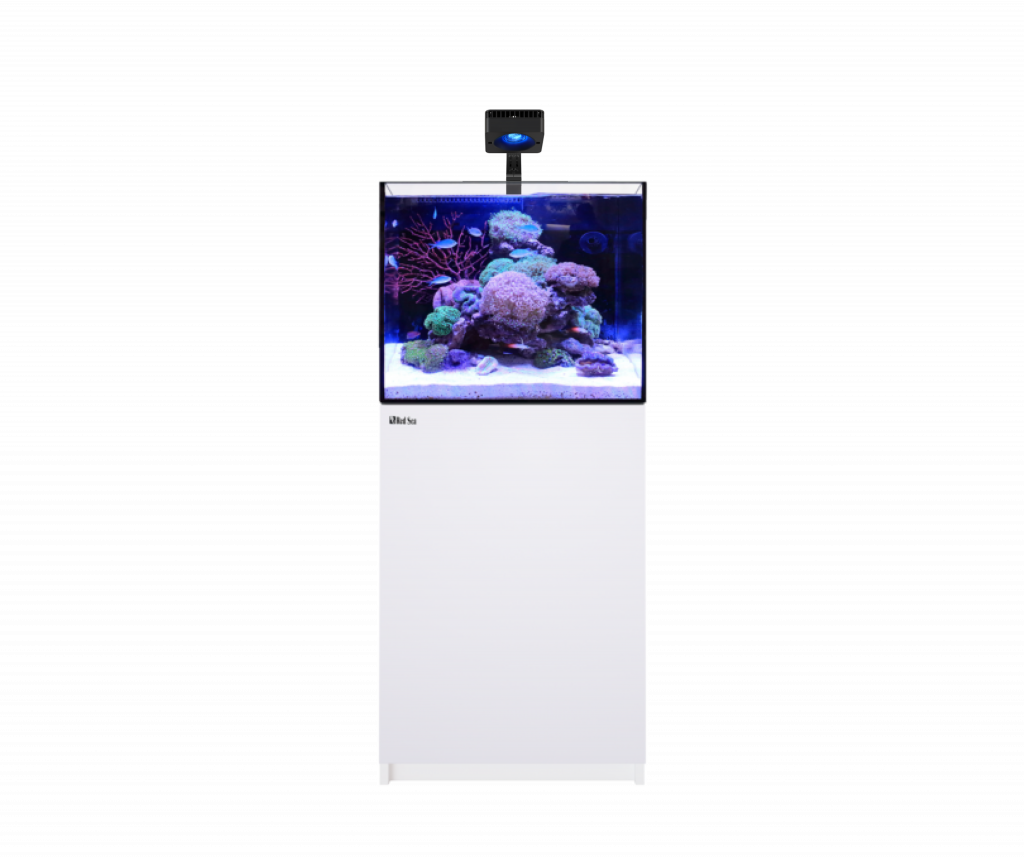 2 Foot Aquarium