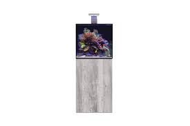2 Foot Aquarium