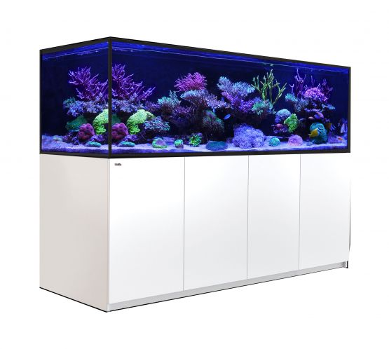Build Your Own Reef Tank Setup Package (6ft and above)