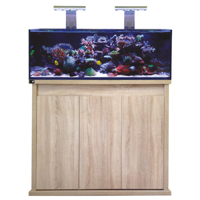 D-D Reef Pro