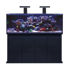 D-D Reef Pro