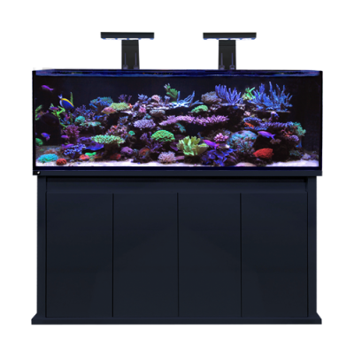 D-D Reef Pro