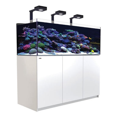Build Your Own Reef Tank Setup Package (5ft)