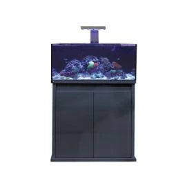 D-D Reef Pro