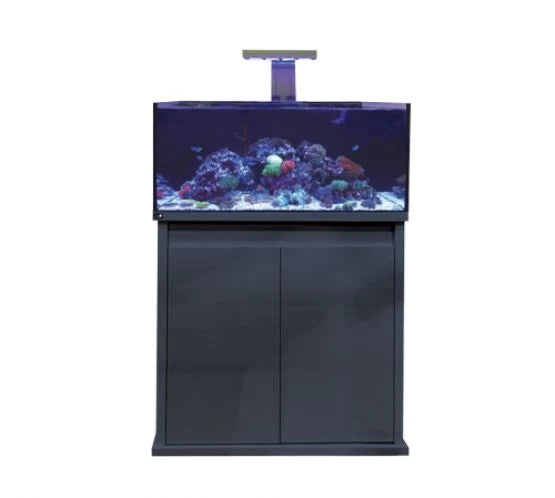 D-D Reef Pro