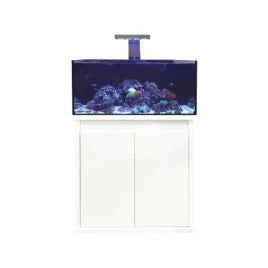 D-D Reef Pro