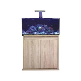 D-D Reef Pro