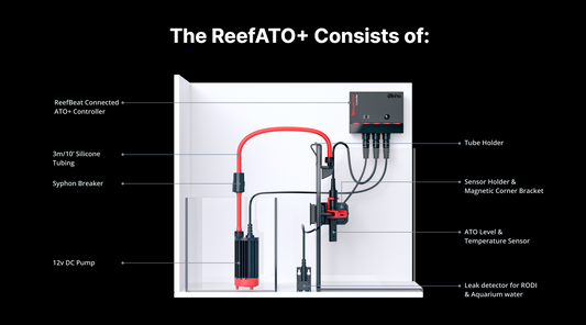 ReefATO+
