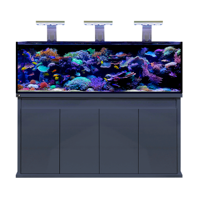 D-D Reef Pro