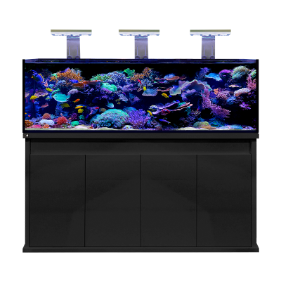 D-D Reef Pro