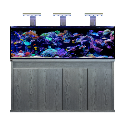 D-D Reef Pro