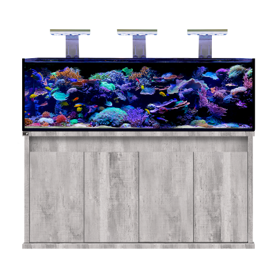 D-D Reef Pro