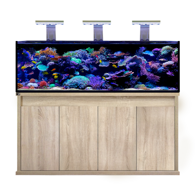 D-D Reef Pro