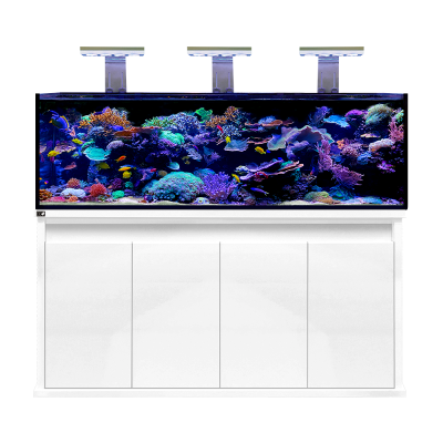 D-D Reef Pro