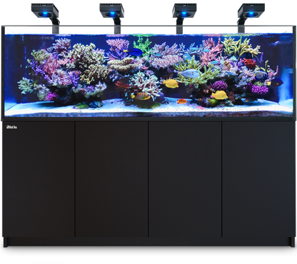 Build Your Own Reef Tank Setup Package (6ft and above)