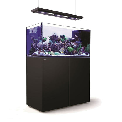 Build Your Own Reef Tank Setup Package (4ft)