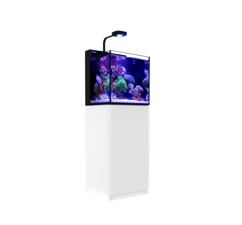 MAX® NANO G2 Cube