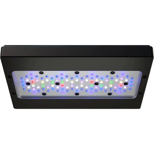 Ecotech G6 Radion XR30 reef tank LED light