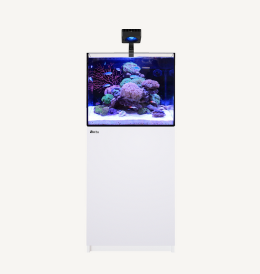 Build Your Own Aquarium (2 foot)