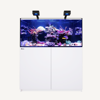 Red Sea Reefer G3