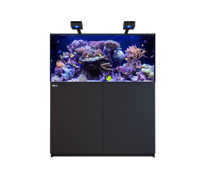 Red Sea Reefer G3