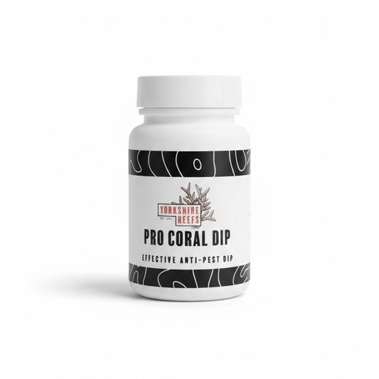 Yorkshire Reefs Pro Coral Dip 60g