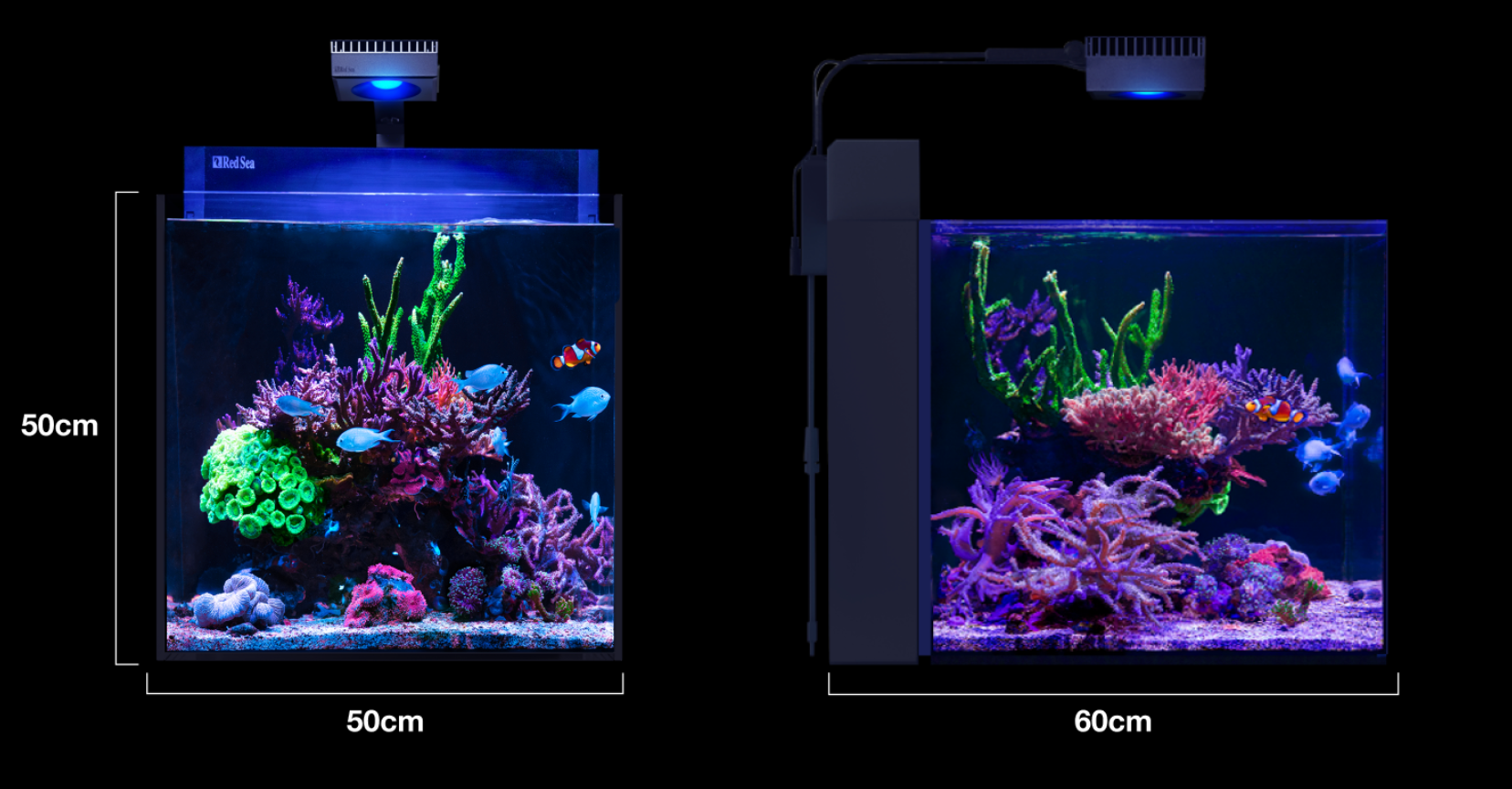MAX Nano G2 XL – Yorkshire Reefs