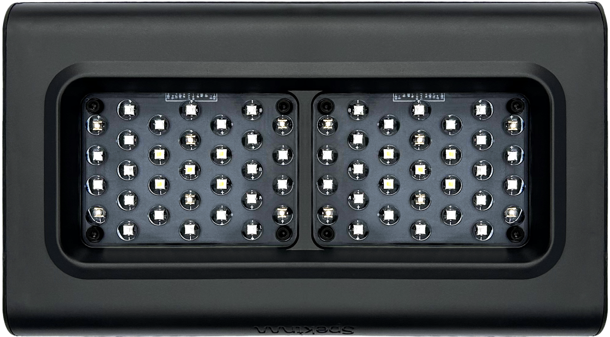 D-D Spektrum 150 LED Light