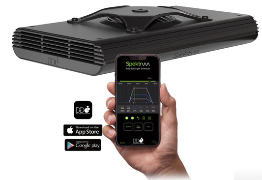 D-D Spektrum 150 LED Light