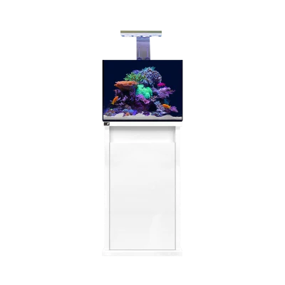 D-D Reef Pro