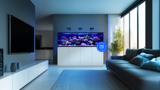 Red Sea Reefer G3