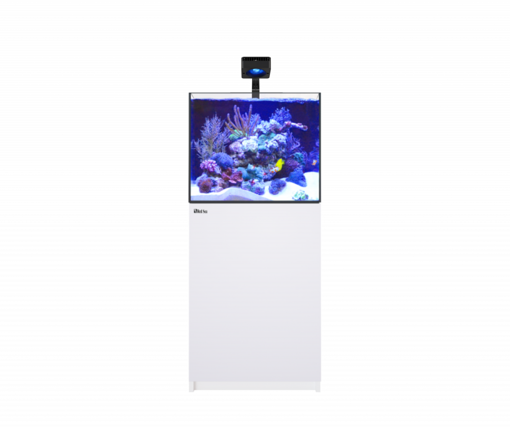 2 Foot Aquarium