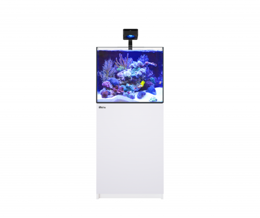 2 Foot Aquarium