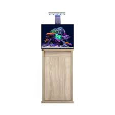 2 Foot Aquarium