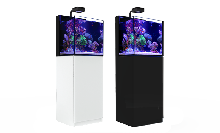 MAX® NANO G2 Cube