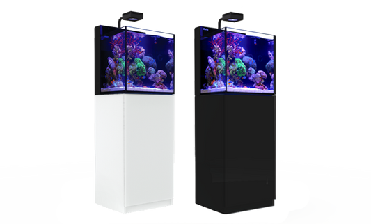 MAX® NANO G2 Cube