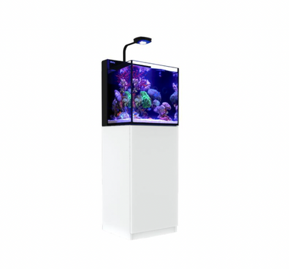 MAX® NANO G2 Cube