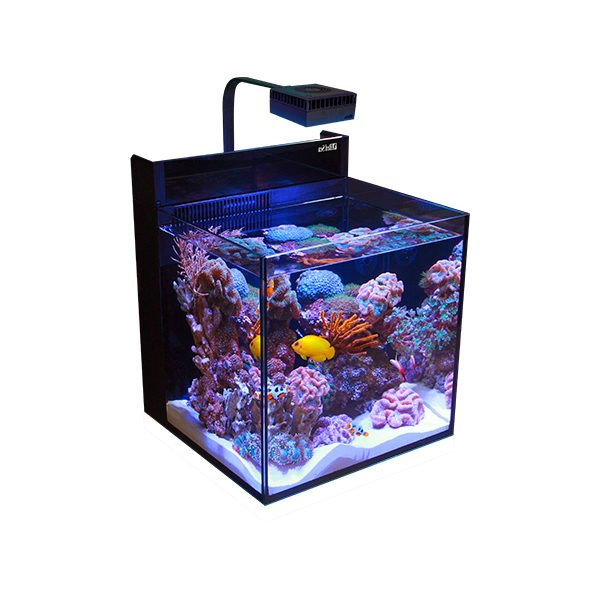 MAX® NANO G2 Cube