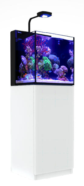MAX® NANO G2 Cube